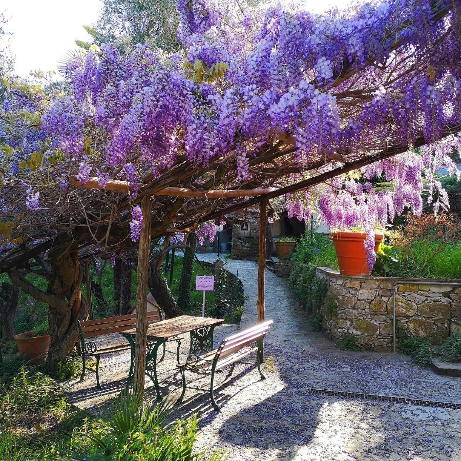הוילה Leivi La Vivagna - Casa Vista Mare Tra Gli Ulivi מראה חיצוני תמונה